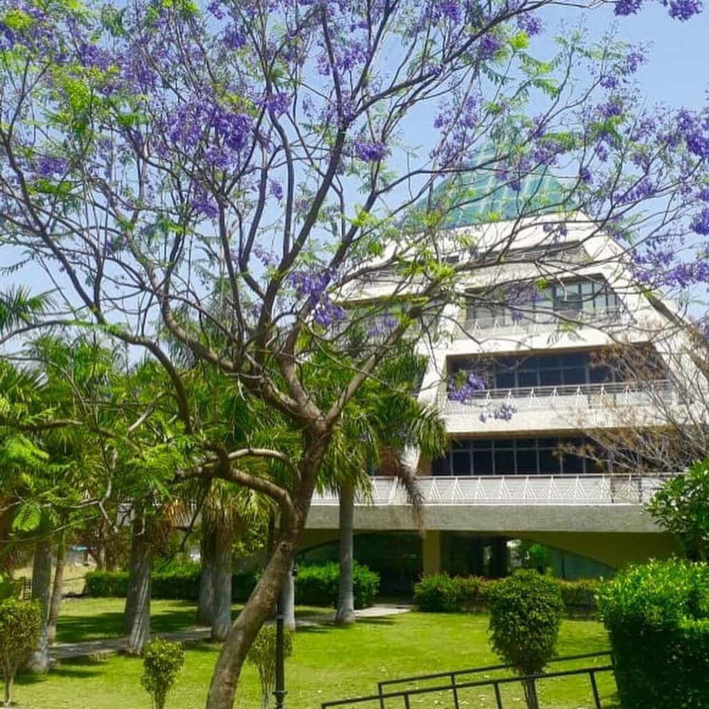 JLU Campus Photo 2