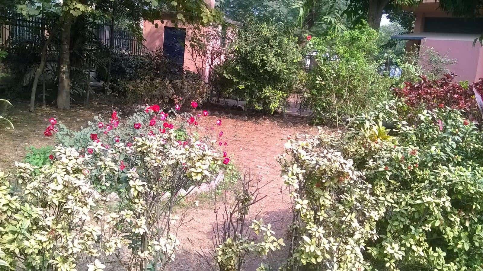 Patna College Campus Photo 6