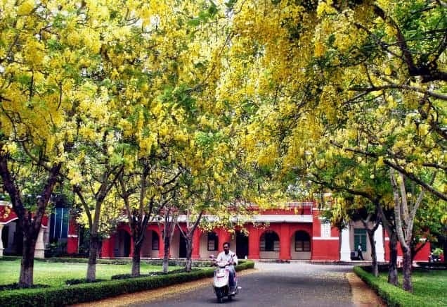 TNAU Campus Photo 4