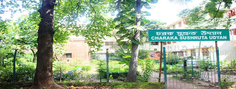 TDB College Campus Photo 6