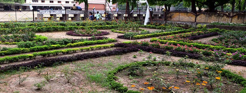 TDB College Campus Photo 7