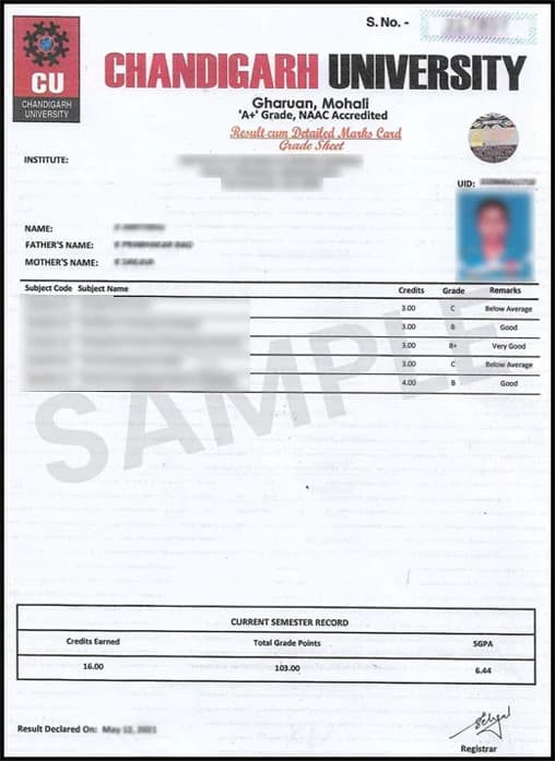 Chandigarh University Distance Education Sample Degree Certificate