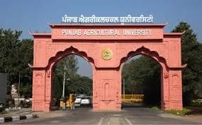 Punjab Agricultural University Ludhiana