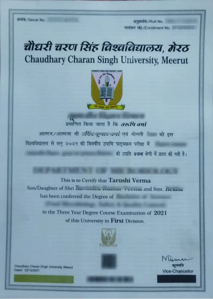 Chaudhary Charan Singh University – Distance Learning Sample Degree Certificate